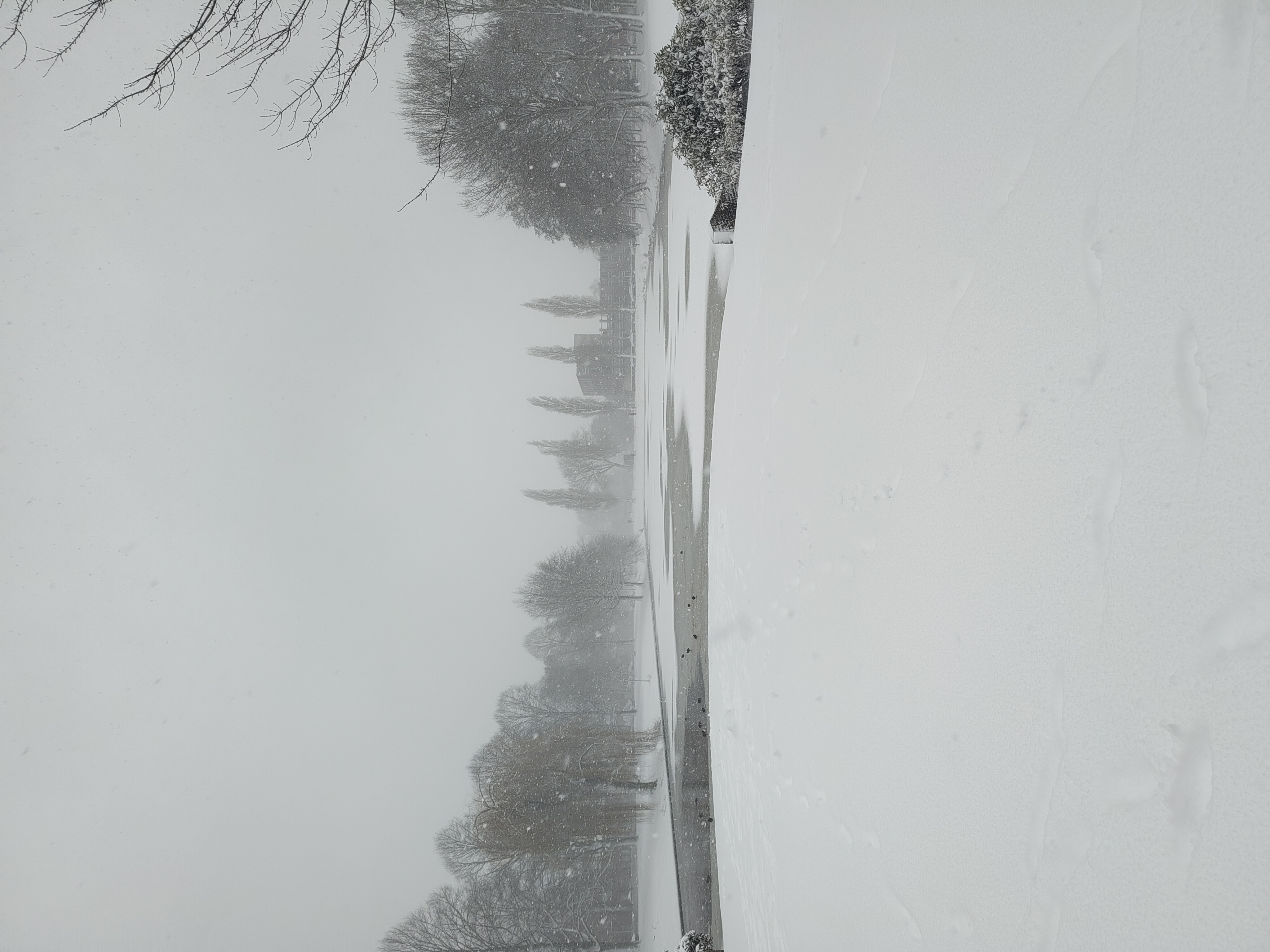Winter 
